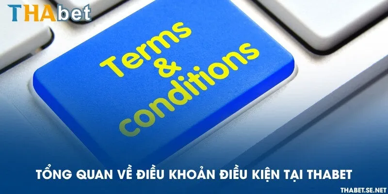 Tổng quan về điều khoản điều kiện tại THAbet